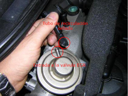 k74_motor_valvula_egr_manual.jpg