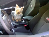 Reposabrazos casero para Seat León II